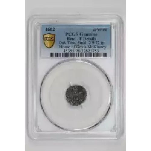 1662 2P Oak Tree, Small 2 (2)