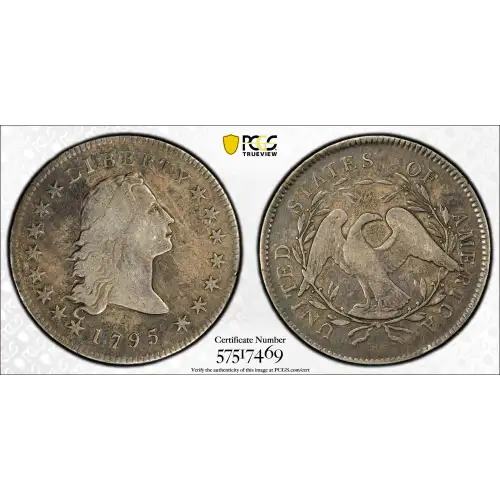 1795 $1 Flowing Hair, 2 Leaves (2)