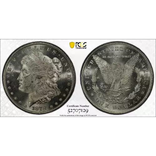 1878 7TF $1 Reverse of 1878 (2)