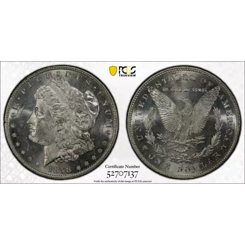 1878 7TF $1 Reverse of 1878 (2)