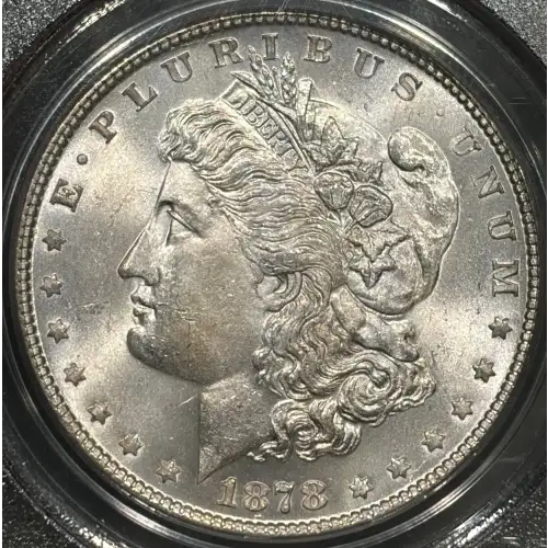 1878 7TF $1 Reverse of 1878 (2)