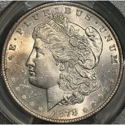 1878 8TF $1 VAM 14.1, Alligator Eye