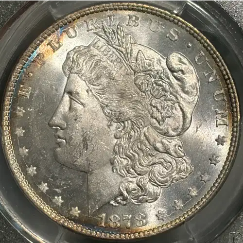 1878 8TF $1 VAM 6, Pierced Eyelid (2)