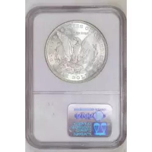 1880 8/7 O VAM-6A EAR & GOUGE  (2)