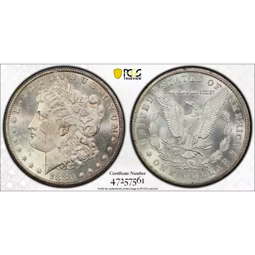 1880-CC $1 8/Low 7 (2)