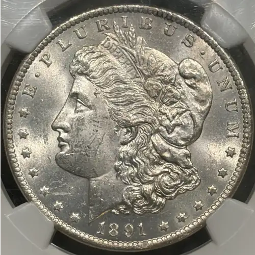 1891 CC VAM-3 SPITTING EAGLE (3)