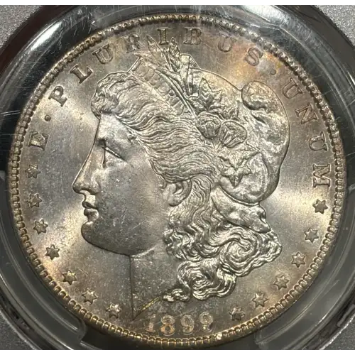 1899-S $1 VAM 7, Doubled Date TOP 100 (2)