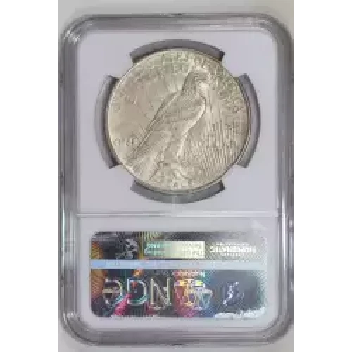 1922 S VAM-3 TDR FEATHERS  (2)