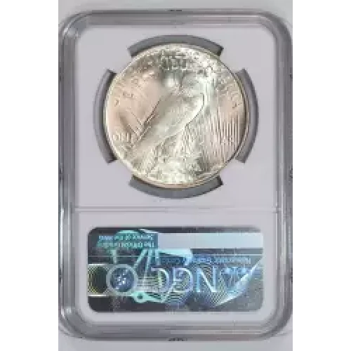 1923 VAM-1A2 WHISKER & CRACK  (2)