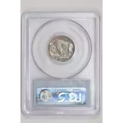 1924 BUFFALO NICKEL PCGS MS65 (2)