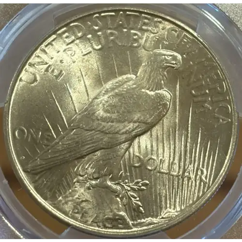 1926-D PEACE DOLLAR PCGS MS64 (2)