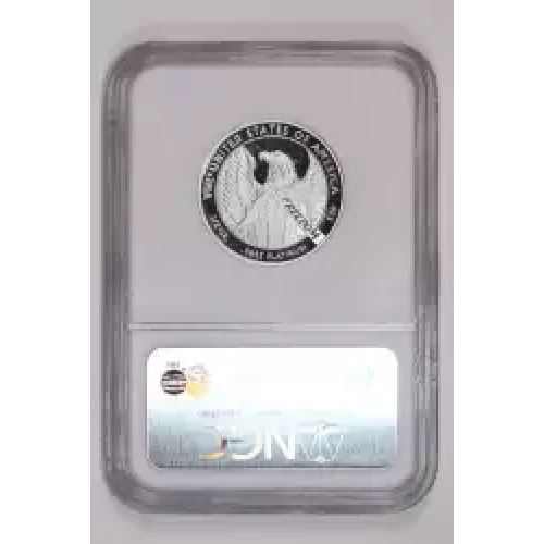 2007 W 10TH ANNIVERSARY SET OFFICIAL US MINT SET ULTRA CAMEO (2)