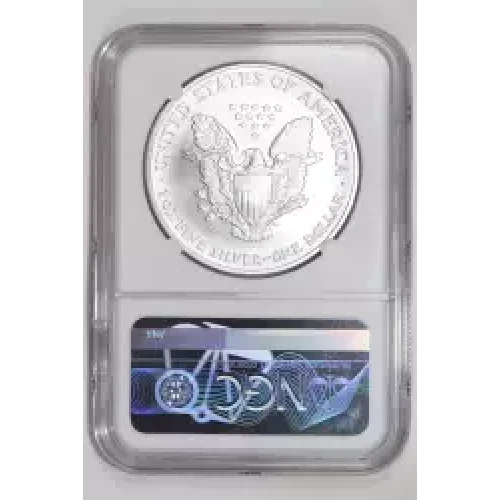 2007 W BURNISHED SILVER EAGLE  (2)