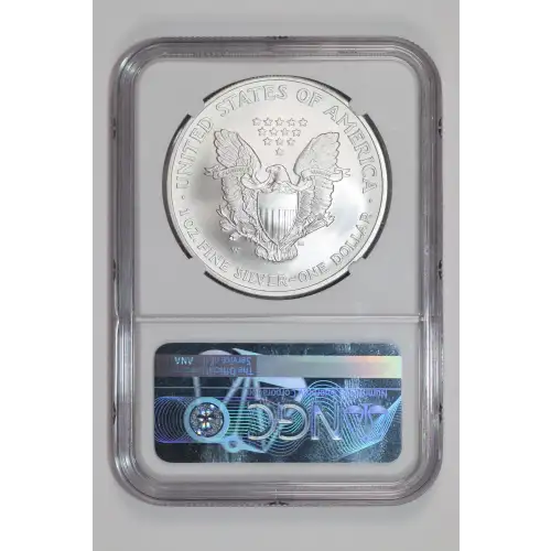 2007 W BURNISHED SILVER EAGLE (2)