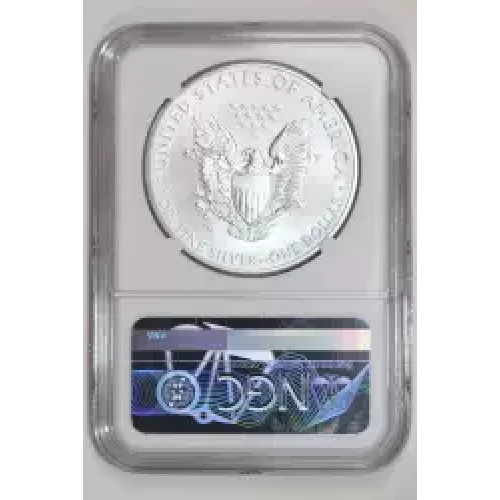 2012 W BURNISHED SILVER EAGLE  (2)