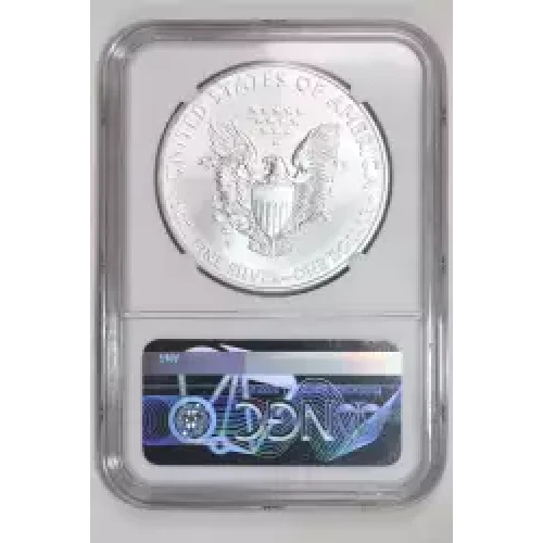2013 W BURNISHED SILVER EAGLE  (2)