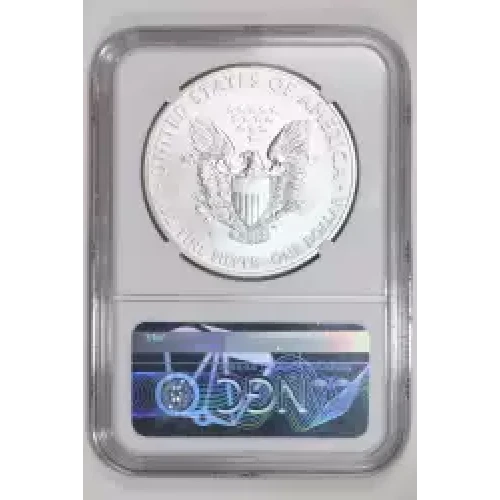 2014 W BURNISHED SILVER EAGLE 