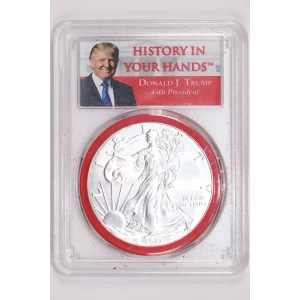 2017 $1 Silver Eagle First Day of Issue 1 of 2000 First Day of Issue