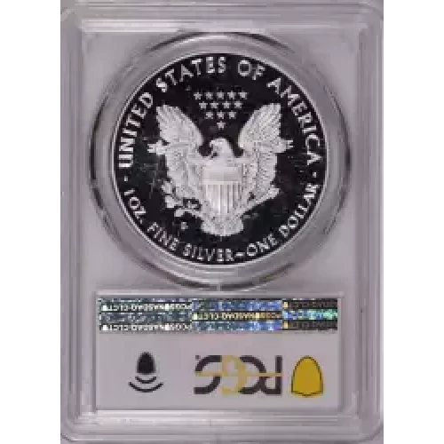 2020-S $1 Silver Eagle, DCAM (2)