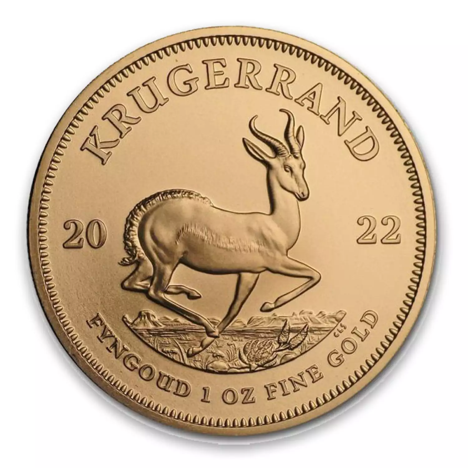 2022 1oz South African Gold Krugerrand (2)