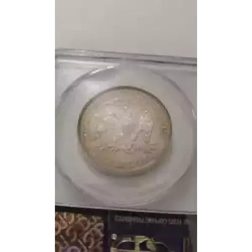 Half Dollars---Liberty Seated 1839-1891 -Silver- 0.5 Dollar (3)