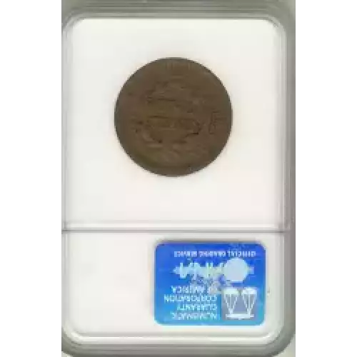 Large Cents - Braided Hair Cent (1839-1857) (3)