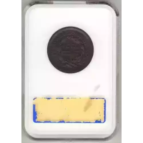 Large Cents - Braided Hair Cent (1839-1857) (3)