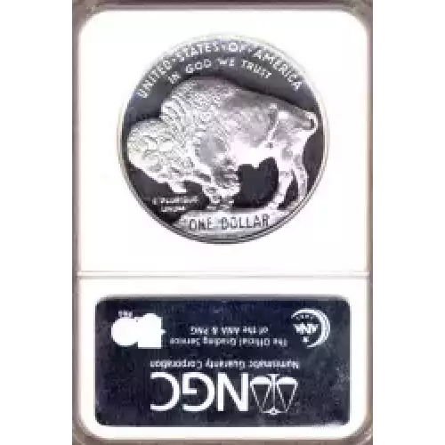 Modern Commemoratives --- American Buffalo Commemorative 2001-Silver- 1 Dollar (3)