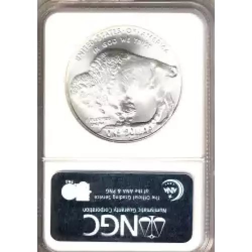 Modern Commemoratives --- American Buffalo Commemorative 2001-Silver- 1 Dollar (3)