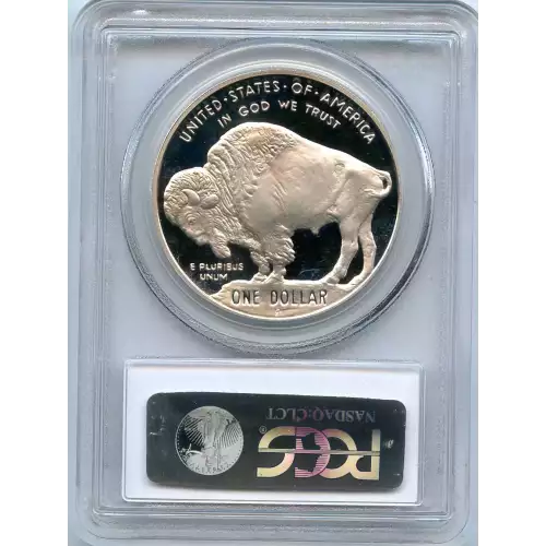 Modern Commemoratives --- American Buffalo Commemorative 2001-Silver- 1 Dollar (3)