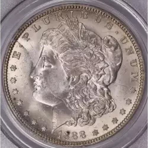 Morgan Silver Dollar