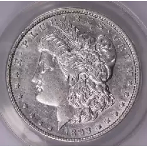 Morgan Silver Dollar