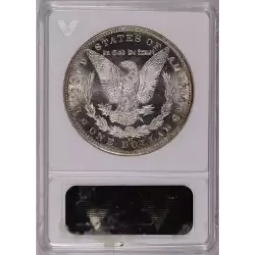 Morgan Silver Dollar