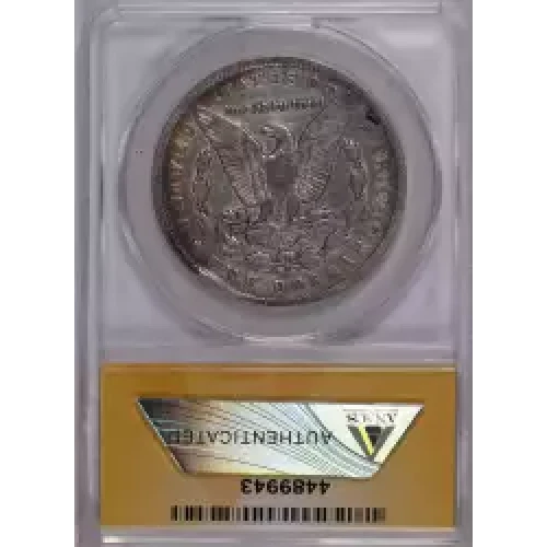 Morgan Silver Dollar (2)