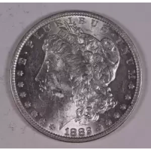 Morgan Silver Dollar