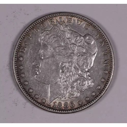 Morgan Silver Dollar