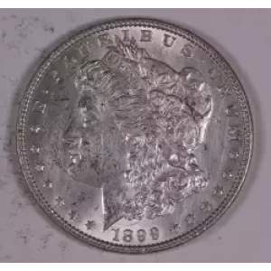 Morgan Silver Dollar