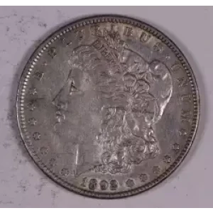Morgan Silver Dollar