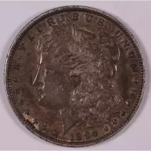 Morgan Silver Dollar