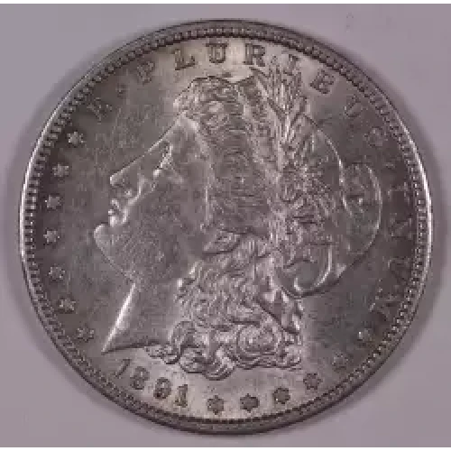 Morgan Silver Dollar
