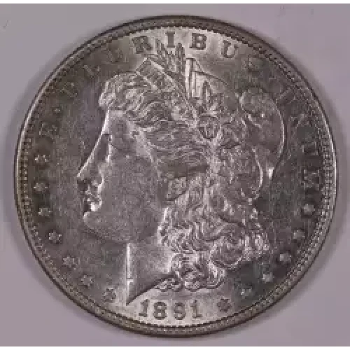 Morgan Silver Dollar