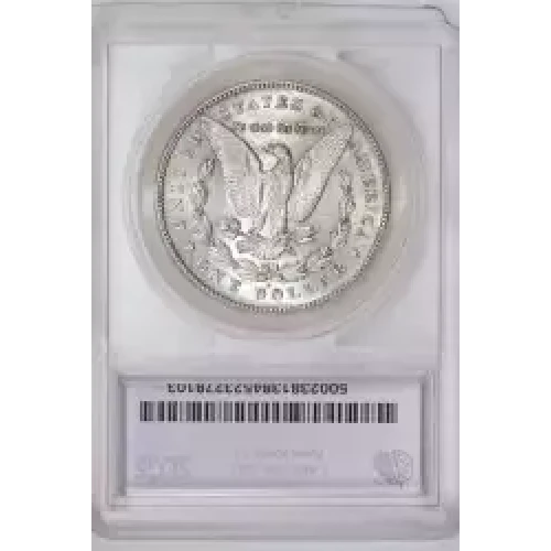 Morgan Silver Dollar (2)