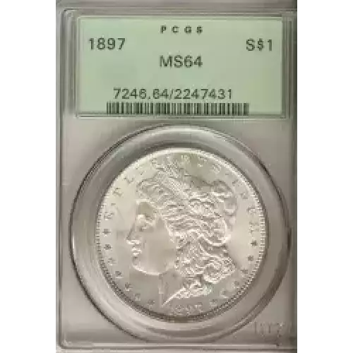 Morgan Silver Dollar (3)
