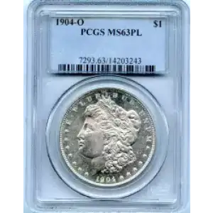 Morgan Silver Dollar (3)
