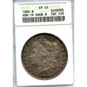Morgan Silver Dollar (3)