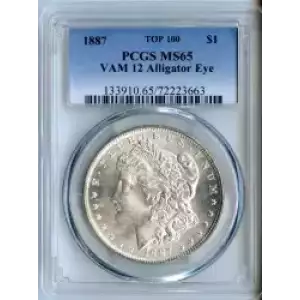Morgan Silver Dollar (3)