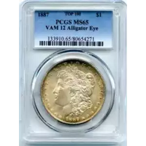 Morgan Silver Dollar (3)