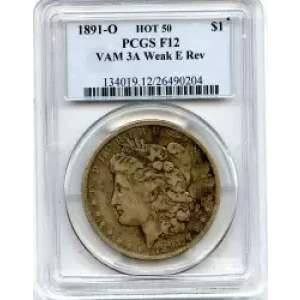 Morgan Silver Dollar (3)