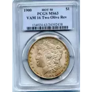 Morgan Silver Dollar (3)