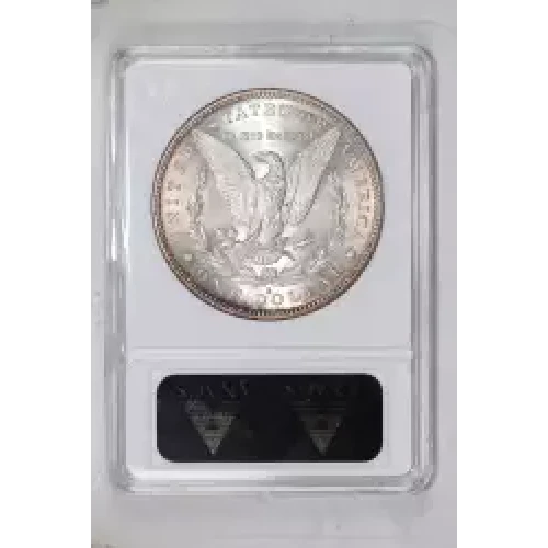 Morgan Silver Dollar